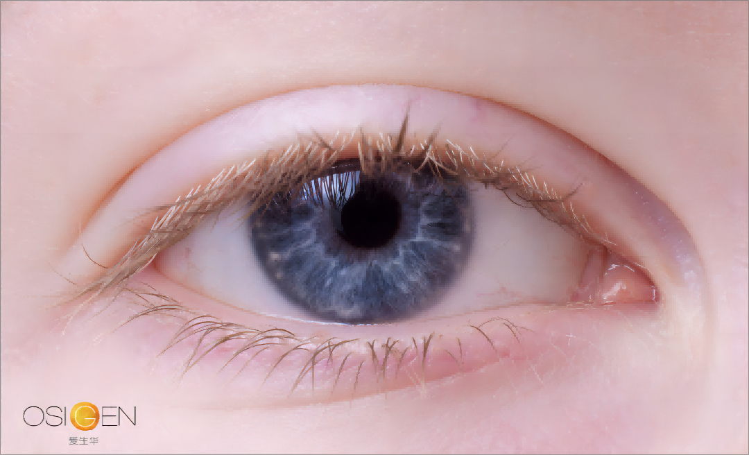0516o（1）.png